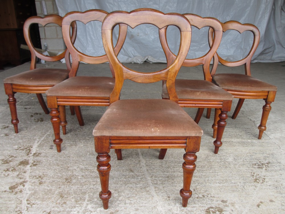 Matched Set of 5 Victorian Mahogany Lobed Balloon Backed Dining Chairs