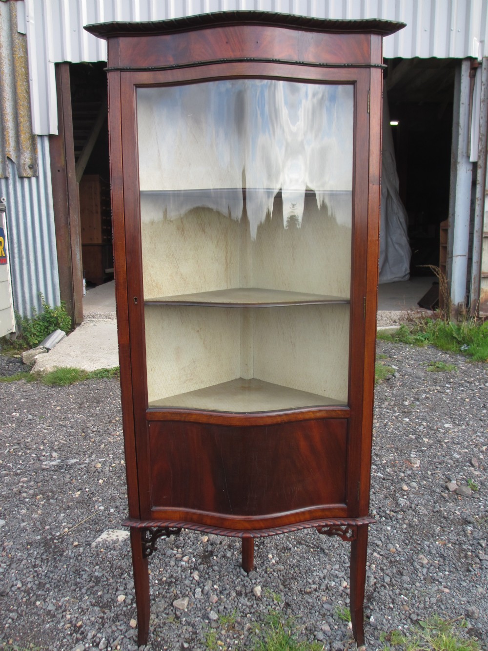 19th Century flame mahogany serpentine standing corner display cabinet with single door, upholstered shelved interior, pie crust trim on swept supports
