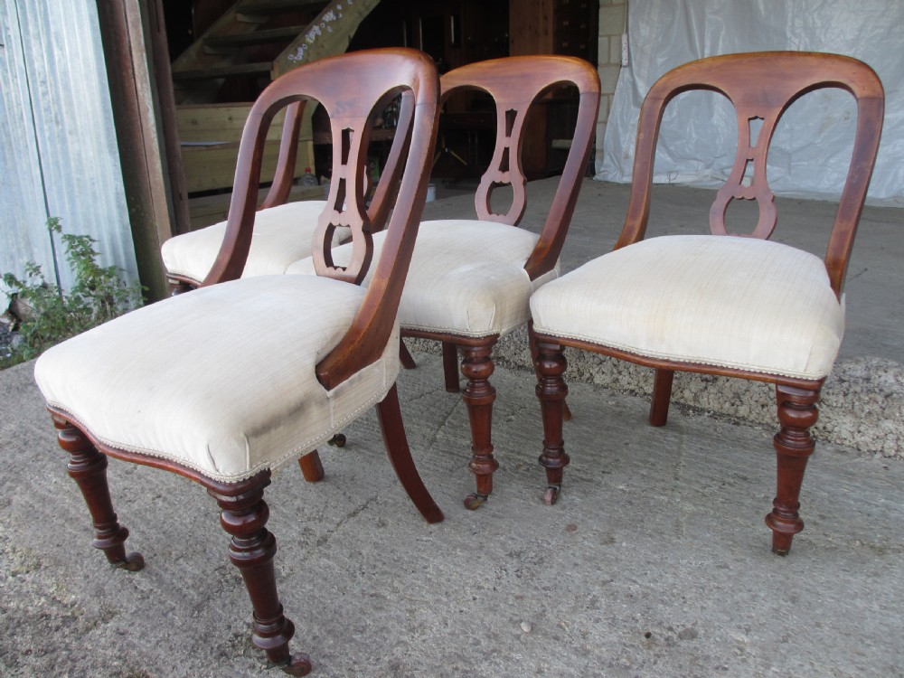 Set of 4 Victorian mahogany arched splat back dining chairs with overstuffed seats on turned forelegs View II