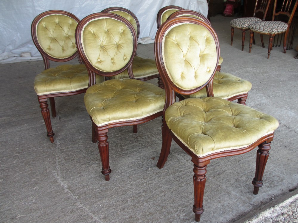 Set of 6 quality 19th century dining chairs. Button upholstered balloon backs with tapered reeded forelegs