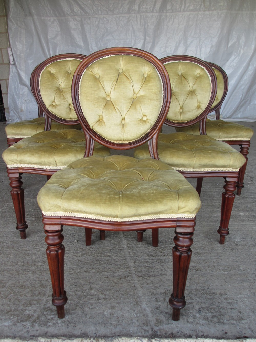 Set of 6 quality 19th century dining chairs. Button upholstered balloon backs with tapered reeded forelegs View II