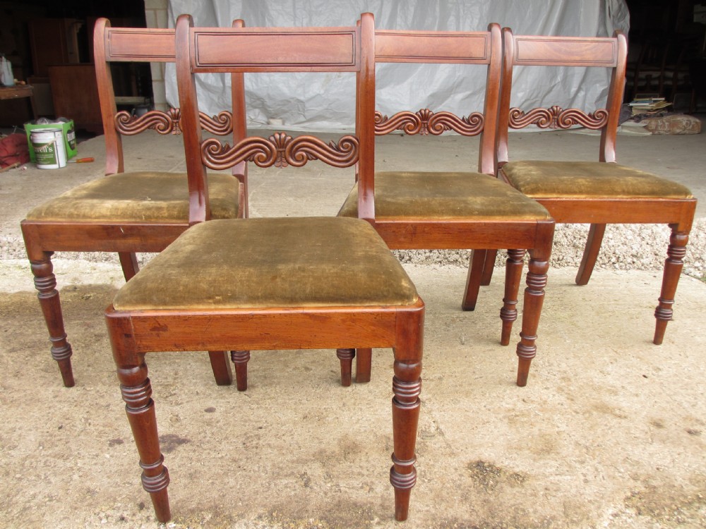 A set of four 19th-century William IV mahogany dining chairs featuring carved scroll backrails, turned front legs, and olive velvet drop-in seats.