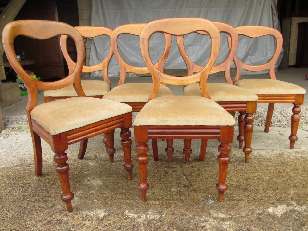 Set of 6 Victorian Walnut balloon back dining chairs View II