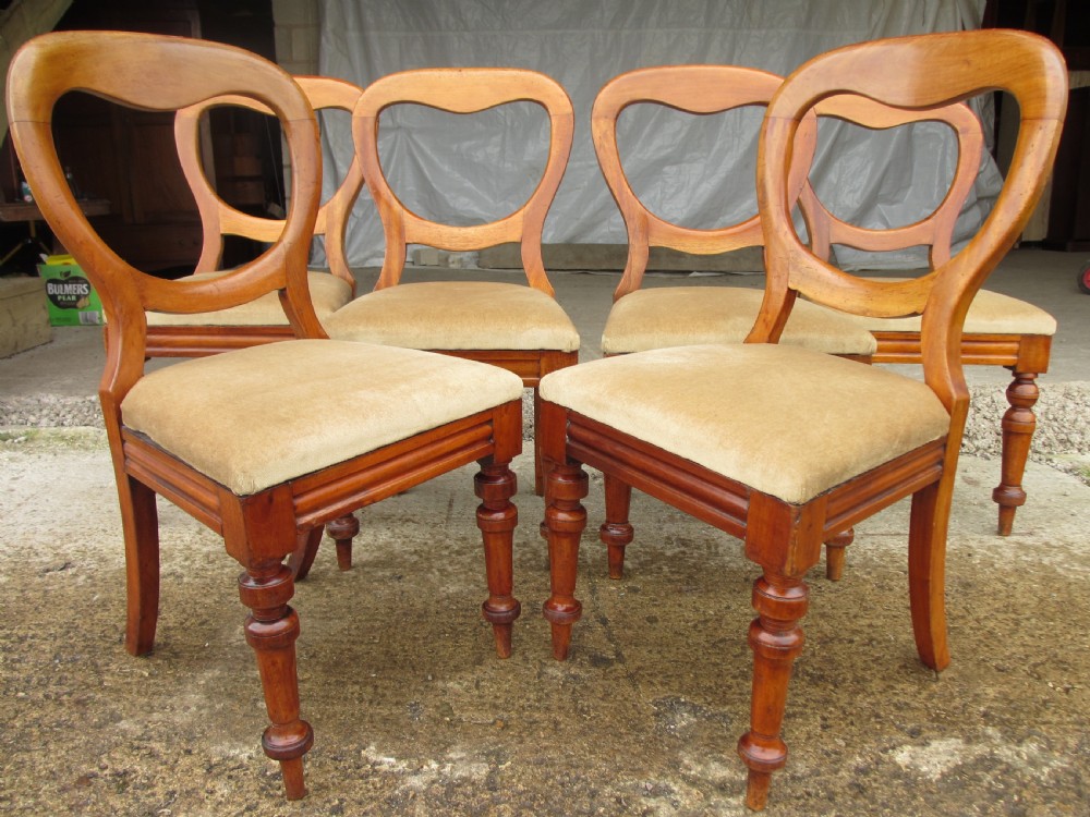 Set of 6 Victorian Walnut balloon back dining chairs View III