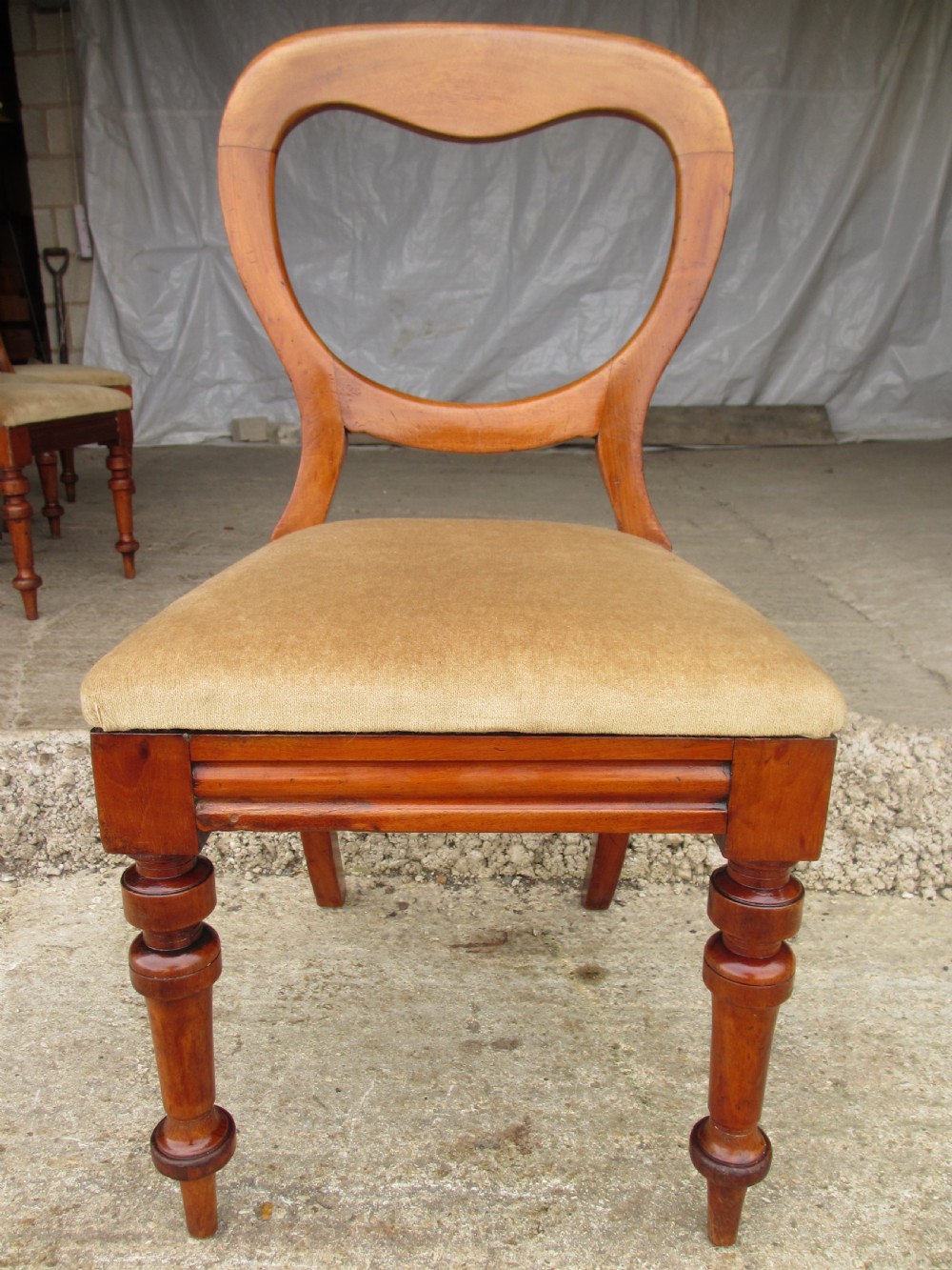 Set of 6 Victorian Walnut balloon back dining chairs View IV