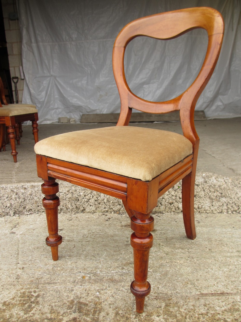 Set of 6 Victorian Walnut balloon back dining chairs View V