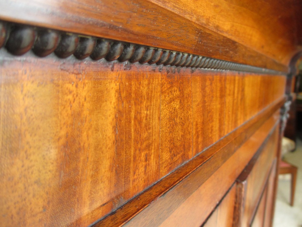 A Georgian flame mahogany two-door cabinet featuring fluted side pilasters, carved capitals, and prominent timber grain on the panelled doors. View IX
