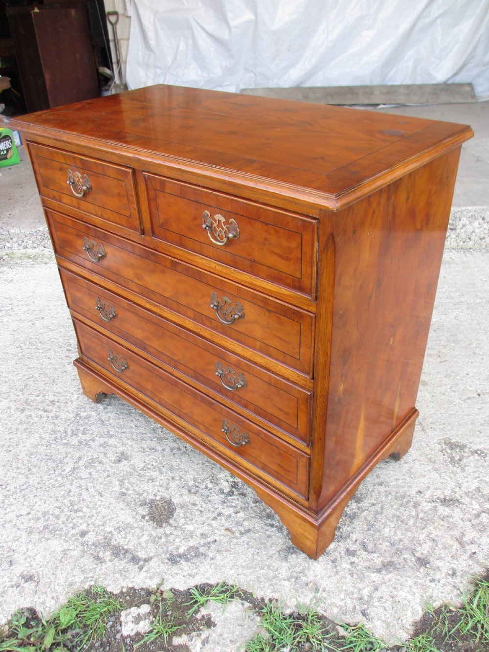 Georgian style yew wood chest of drawers View III