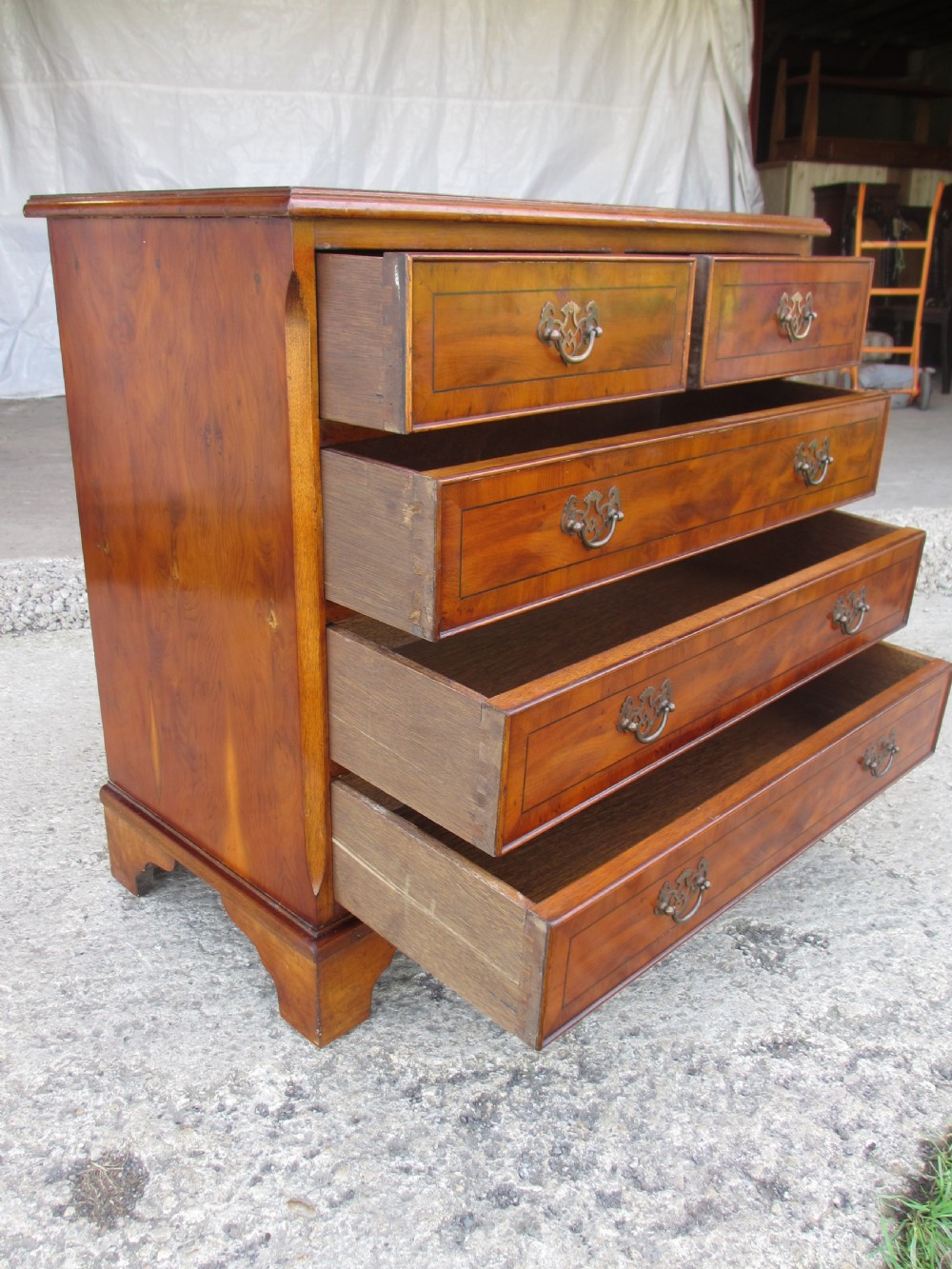 Georgian style yew wood chest of drawers View IX