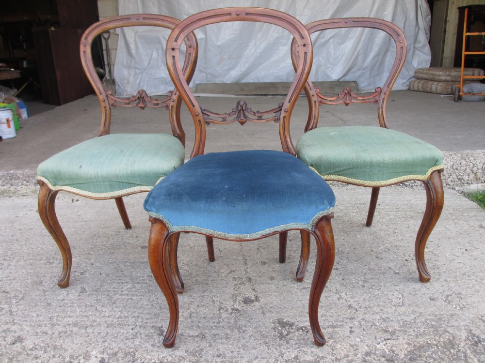Victorian mahogany balloon back dining chairs
