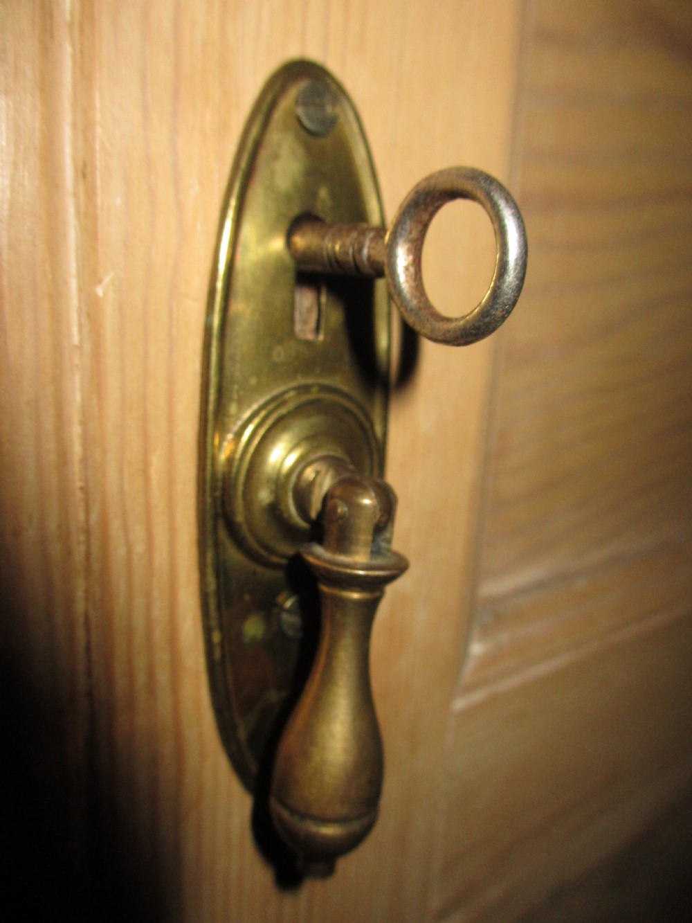 Victorian pitch pine tall standing hall cupboard View XII