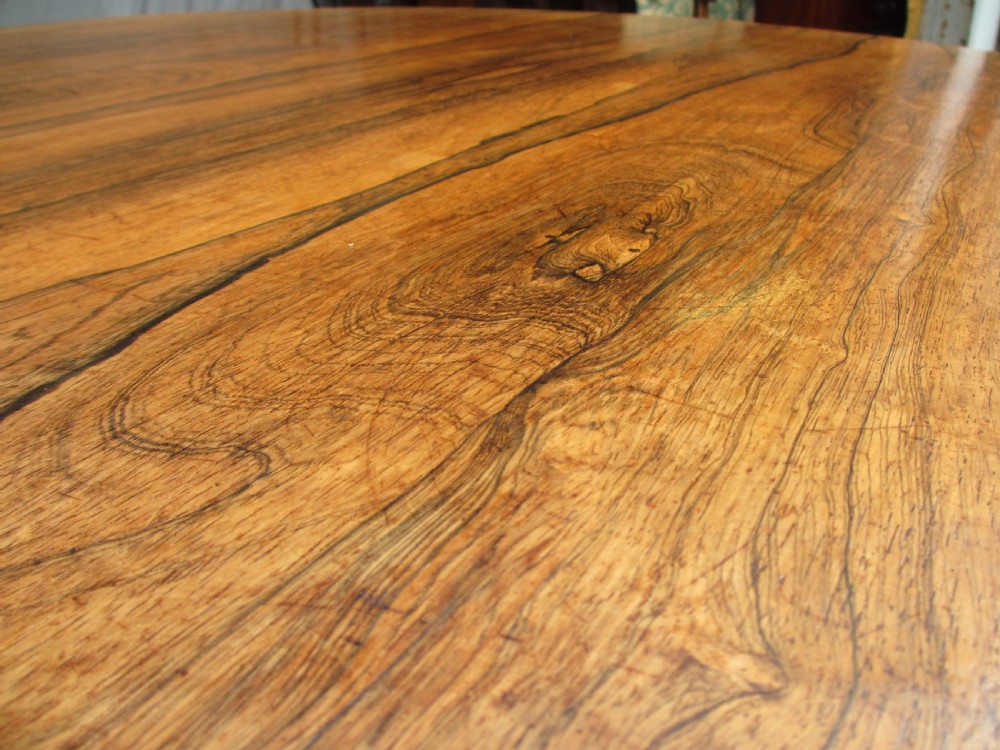 19th century Rosewood circular tilt top breakfast table  View VI