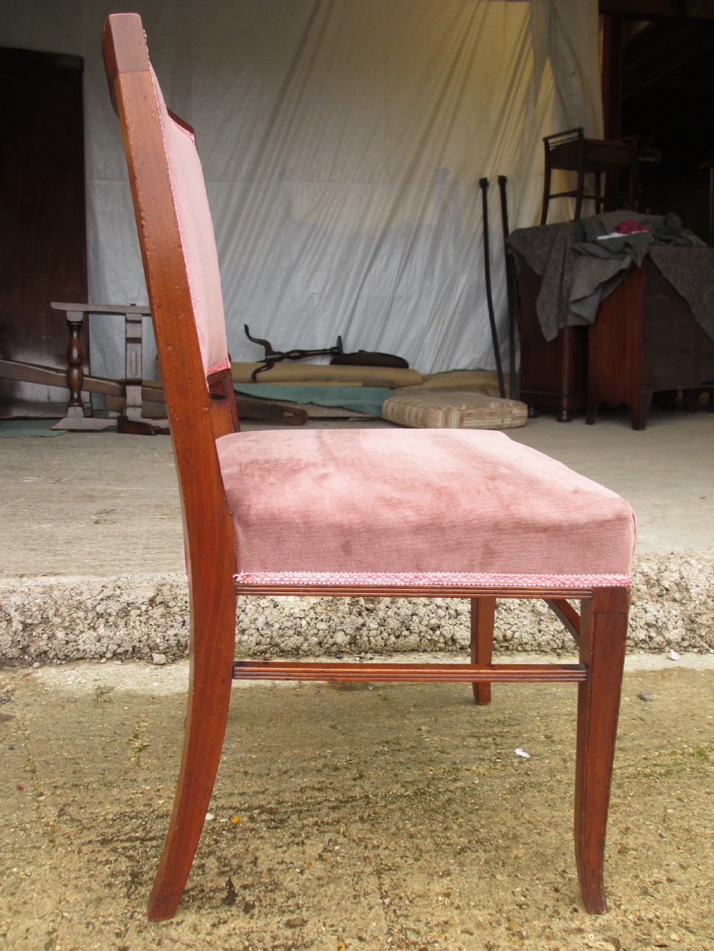 A pair of 19th-century mahogany dining chairs featuring upholstered dusty pink velvet rectangular backs and seats with reeded wooden legs. View X