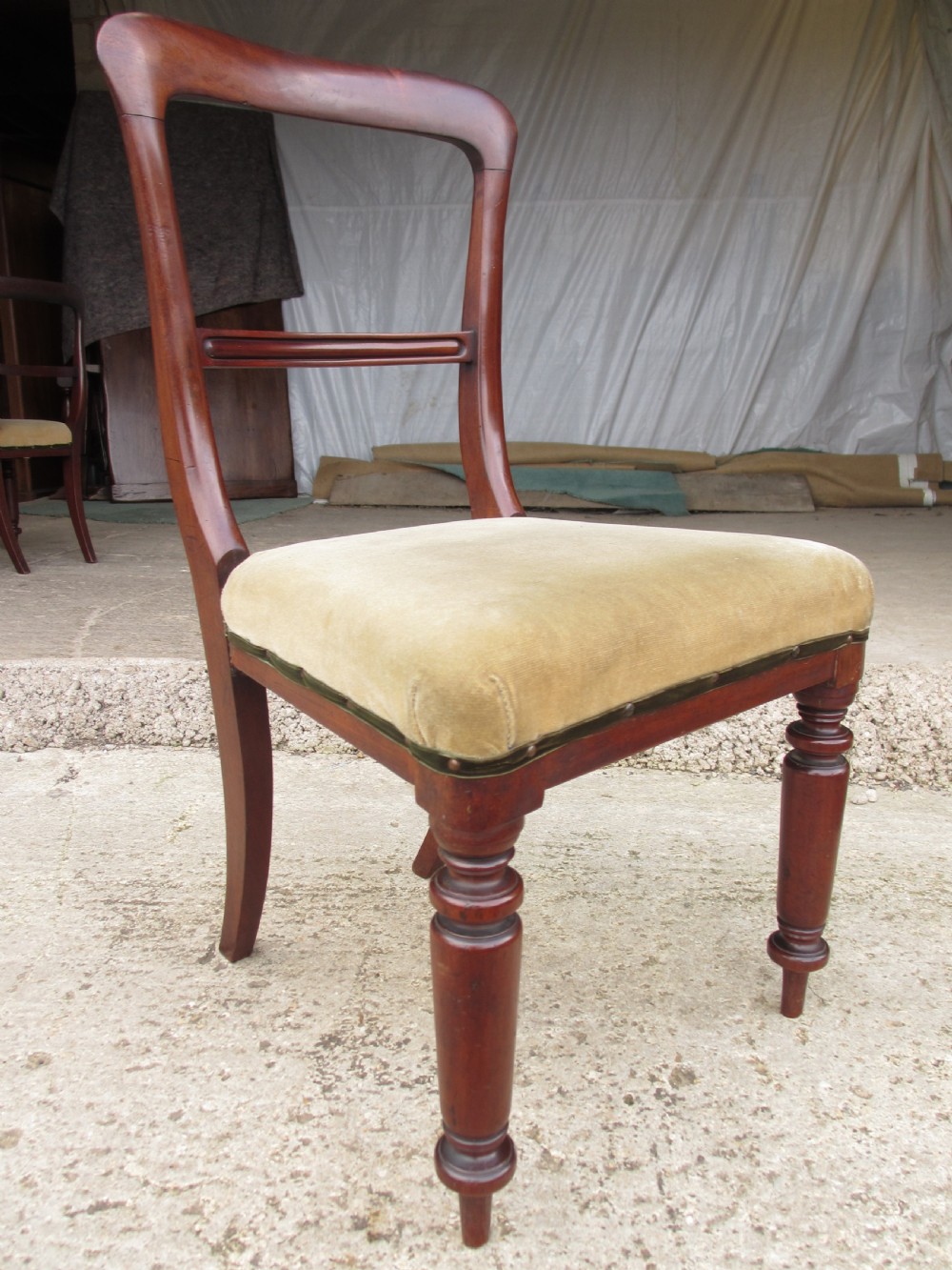 A set of four 19th-century mahogany dining chairs with curved bar backs, turned front legs, and cushioned tan velvet seats. View II