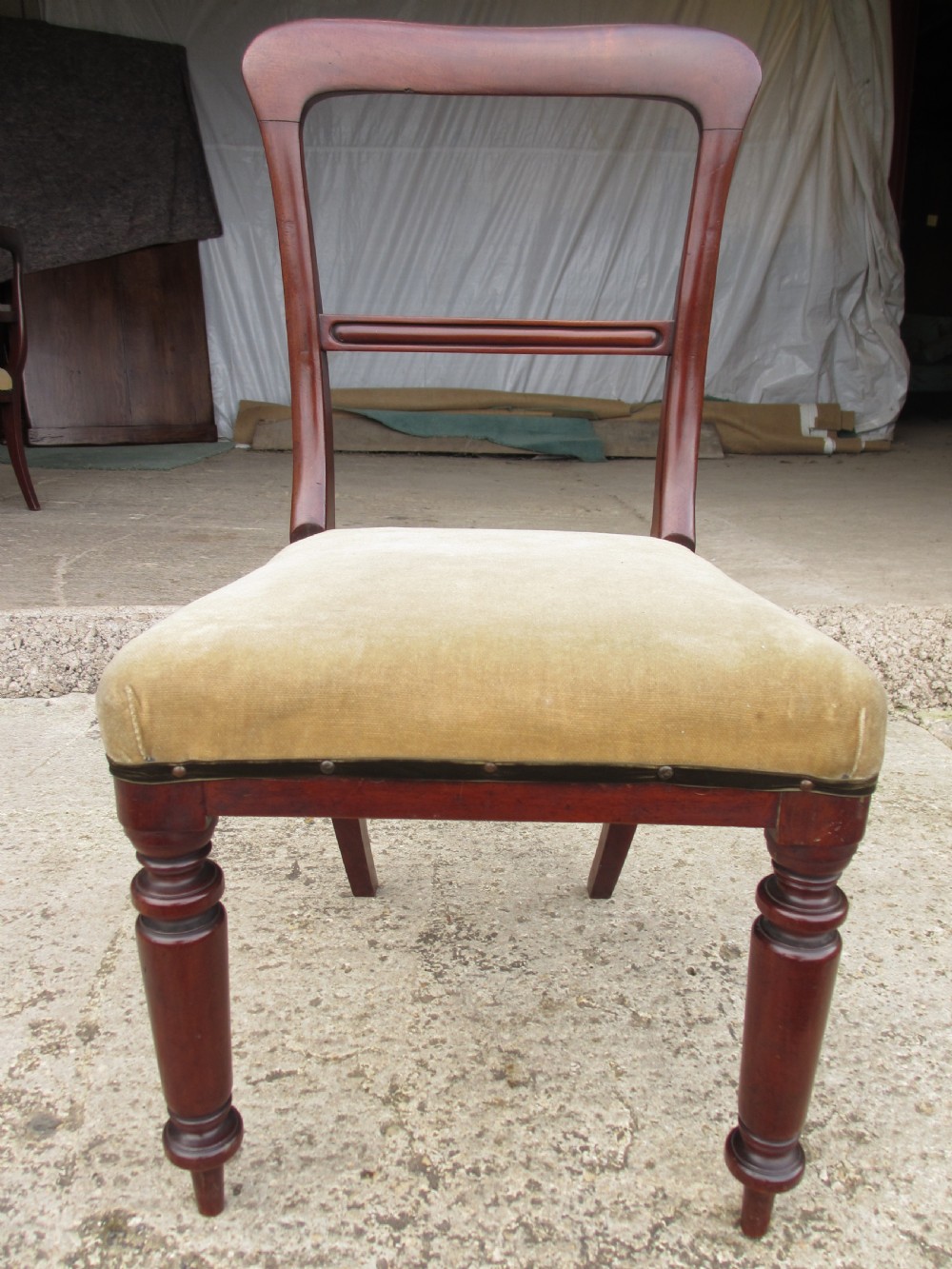 A set of four 19th-century mahogany dining chairs with curved bar backs, turned front legs, and cushioned tan velvet seats. View III