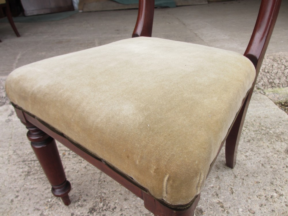 A set of four 19th-century mahogany dining chairs with curved bar backs, turned front legs, and cushioned tan velvet seats. View IX