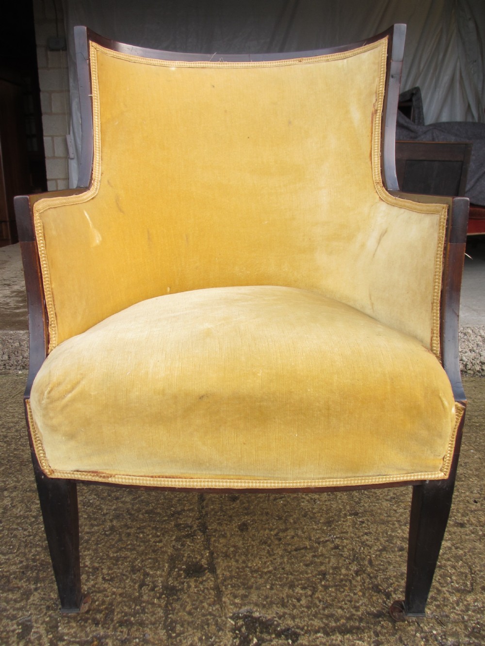 A 19th-century mahogany framed tub armchair featuring yellow velvet upholstery and square tapered legs.