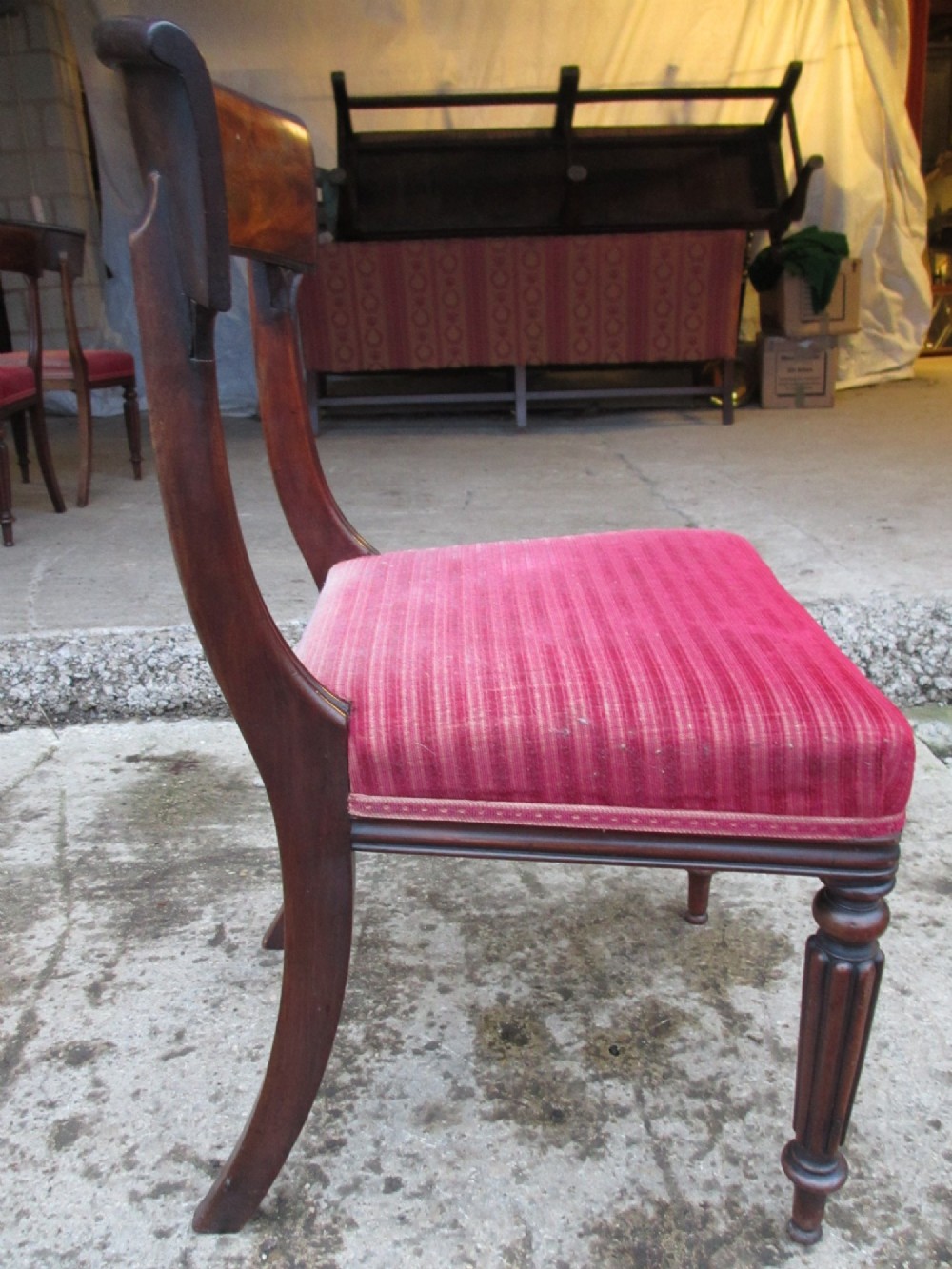 A set of six William IV mahogany dining chairs featuring curved top rails with flame mahogany veneer, reeded turned front legs, and red striped upholstered seats. View XIV