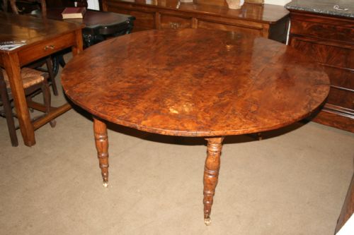 Large Burr Elm Table