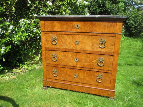 Small Burr Walnut Commode