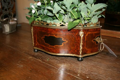 French Table Top Jardinere