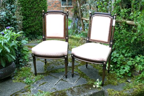 Pair of Second Empire Salon Chairs