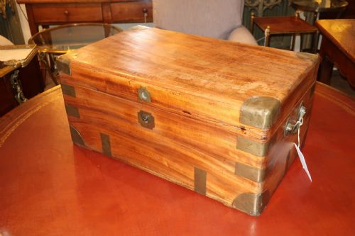 Camphor-wood Trunk