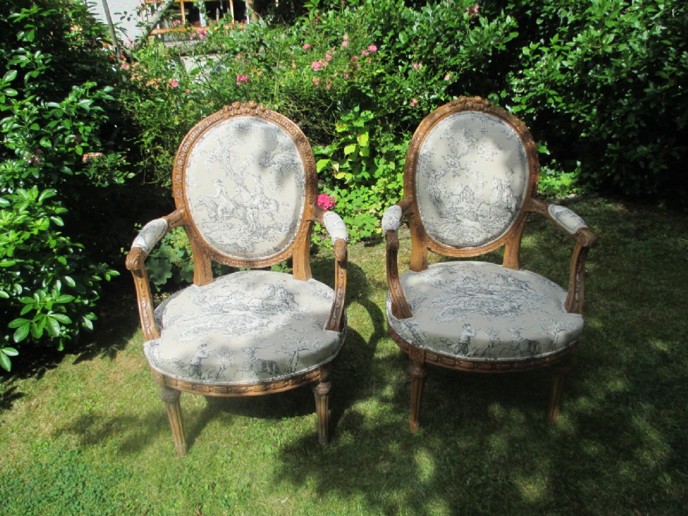Pair of French carved armchairs