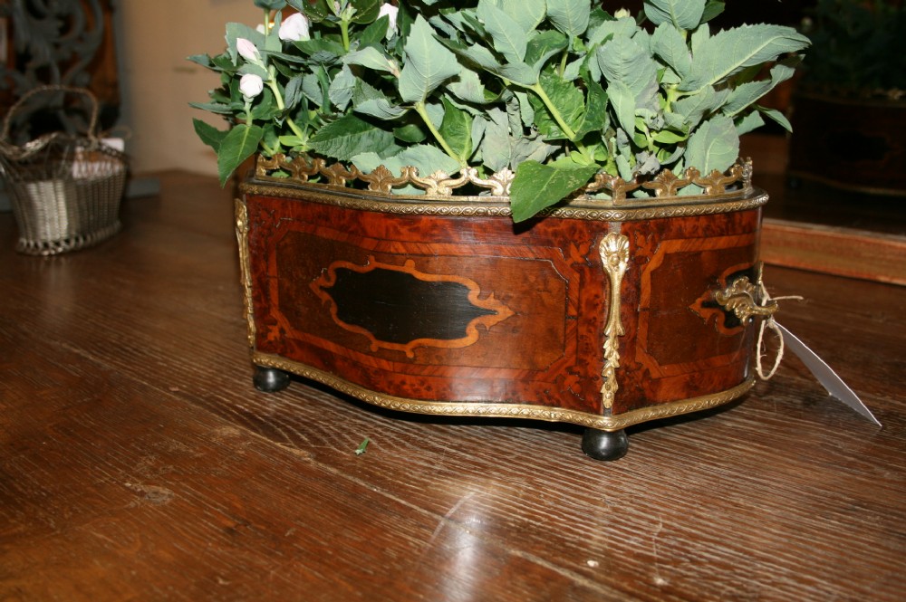 french table top jardinere 