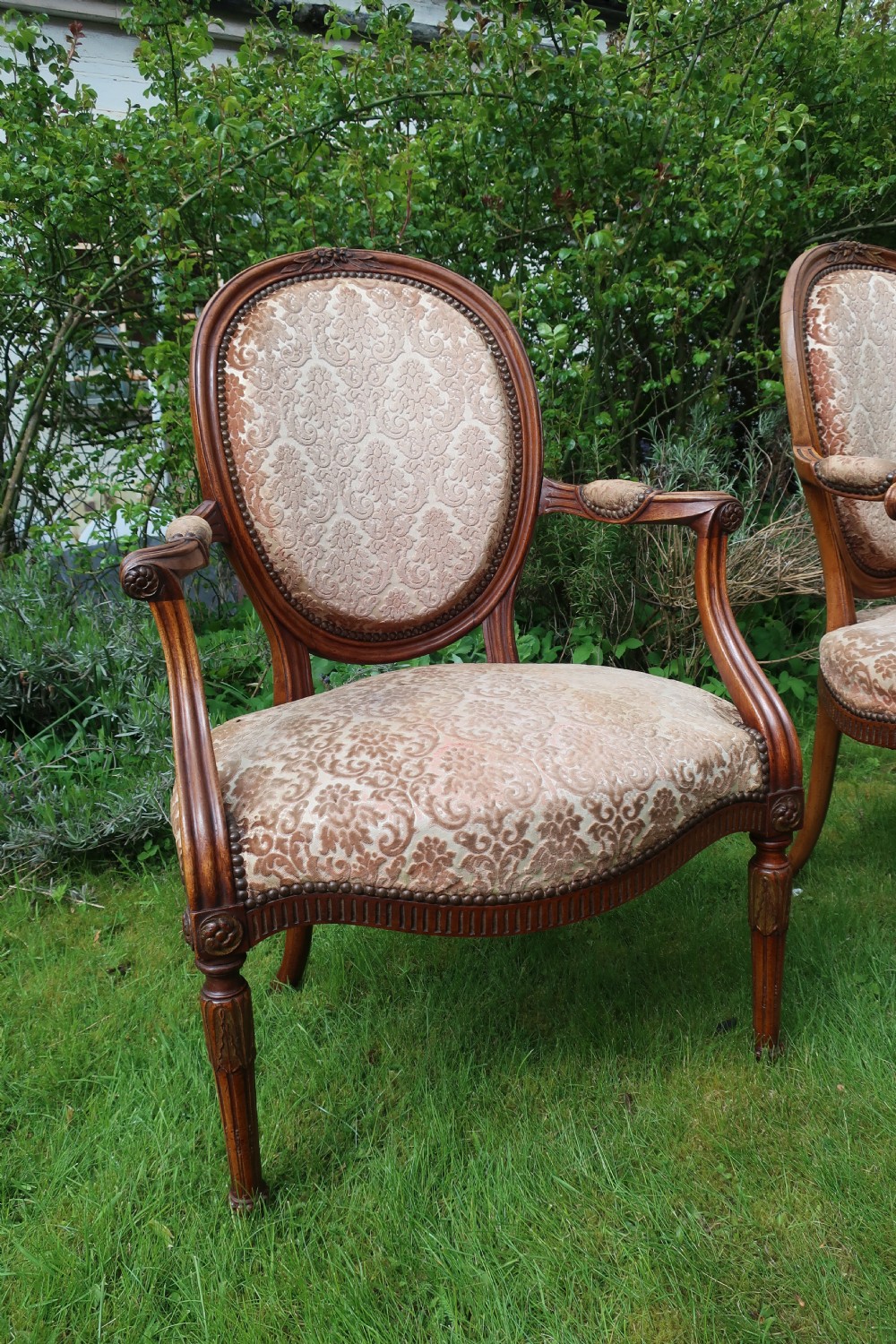 Pair of antique walnut armchairs View II