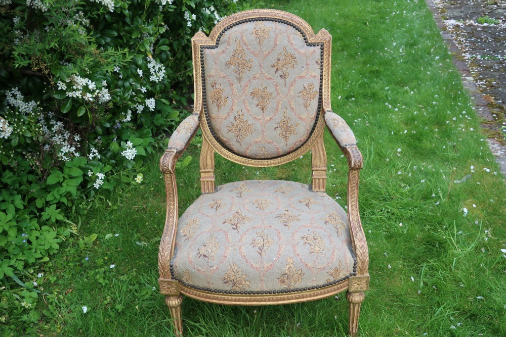 Pair of gilt needlepoint armchairs View II