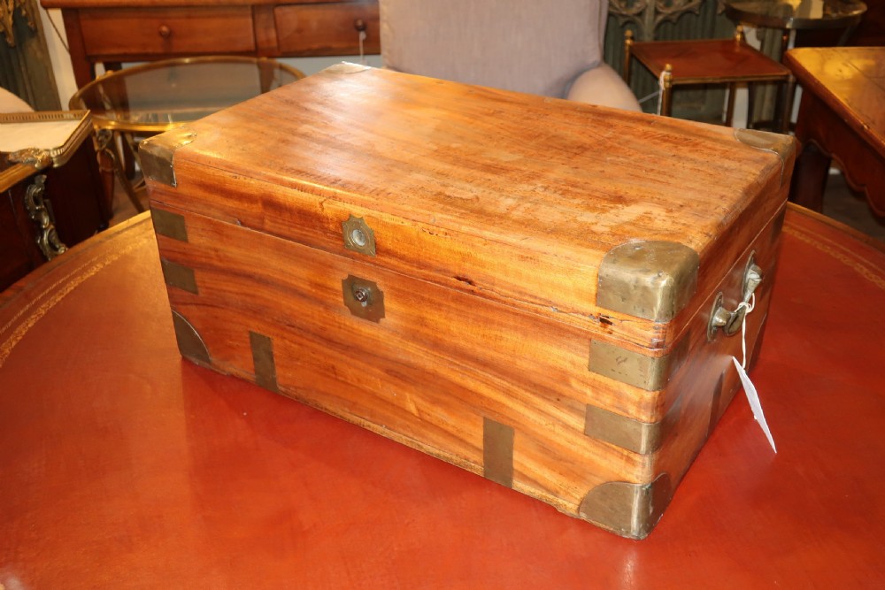 Camphor-wood trunk 