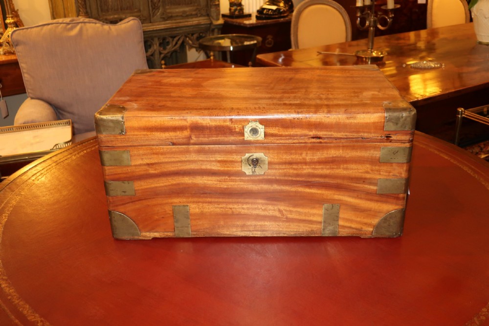 Camphor-wood trunk  View II