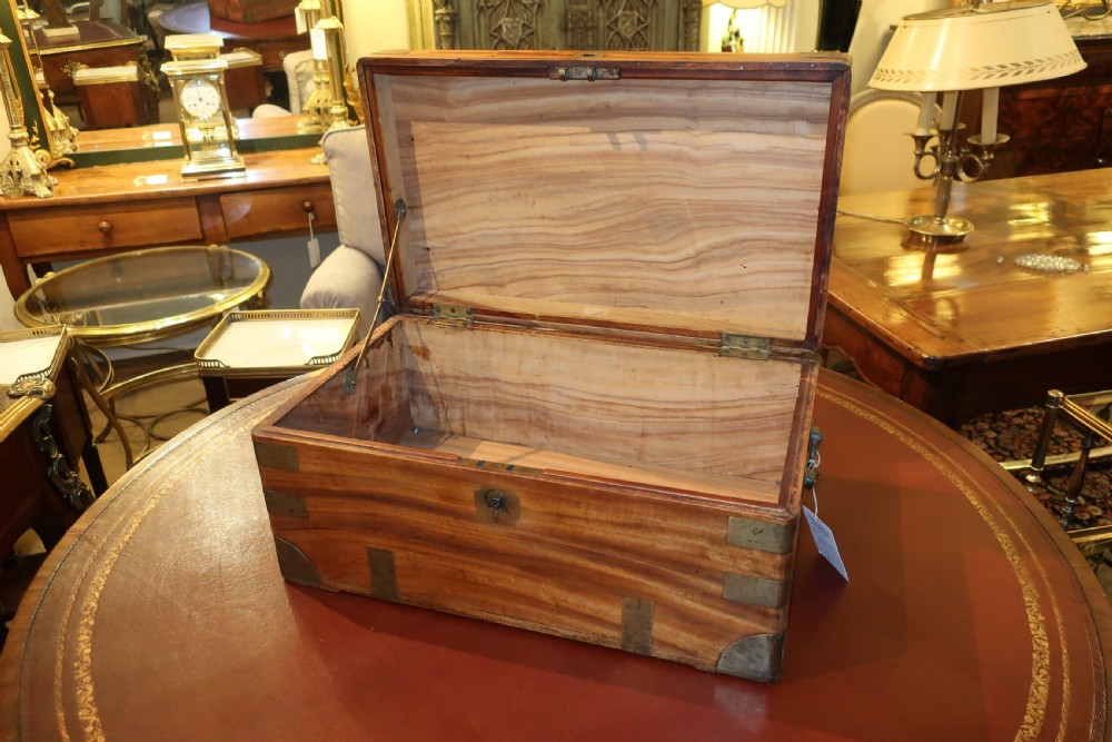 Camphor-wood trunk  View III