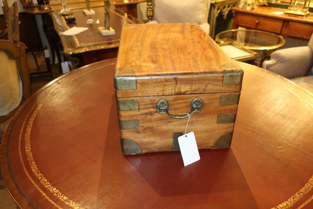 Camphor-wood trunk  View IV