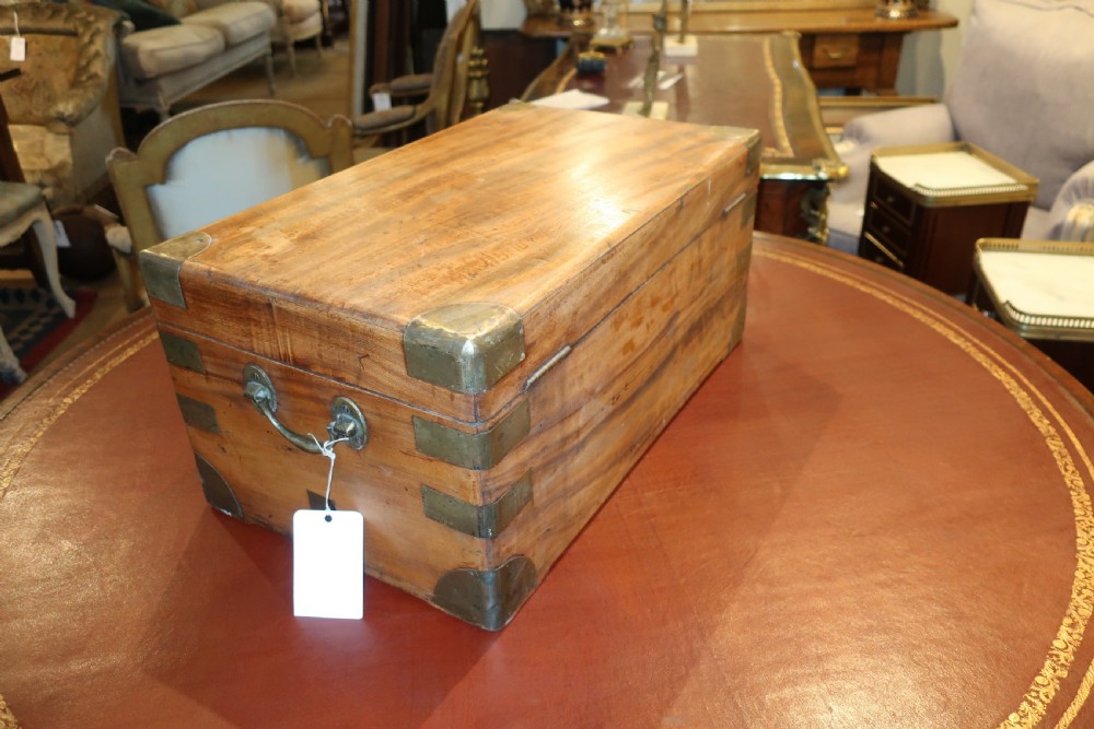 Camphor-wood trunk  View V