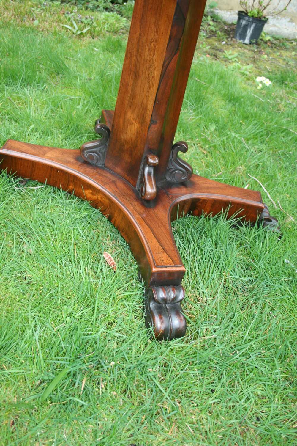 William iv rosewood card table  View II