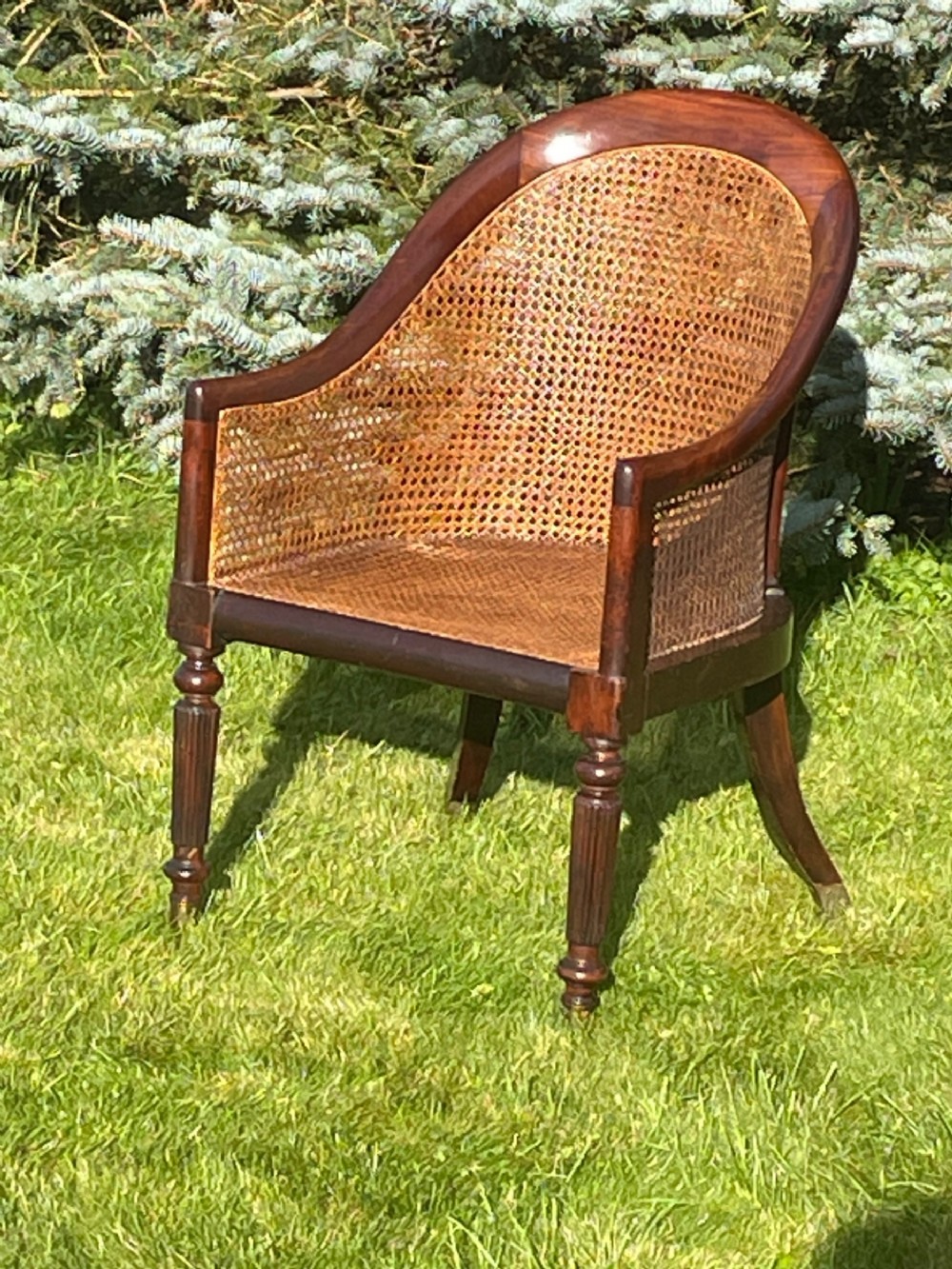 Regency  Mahogany Bergere Chair  