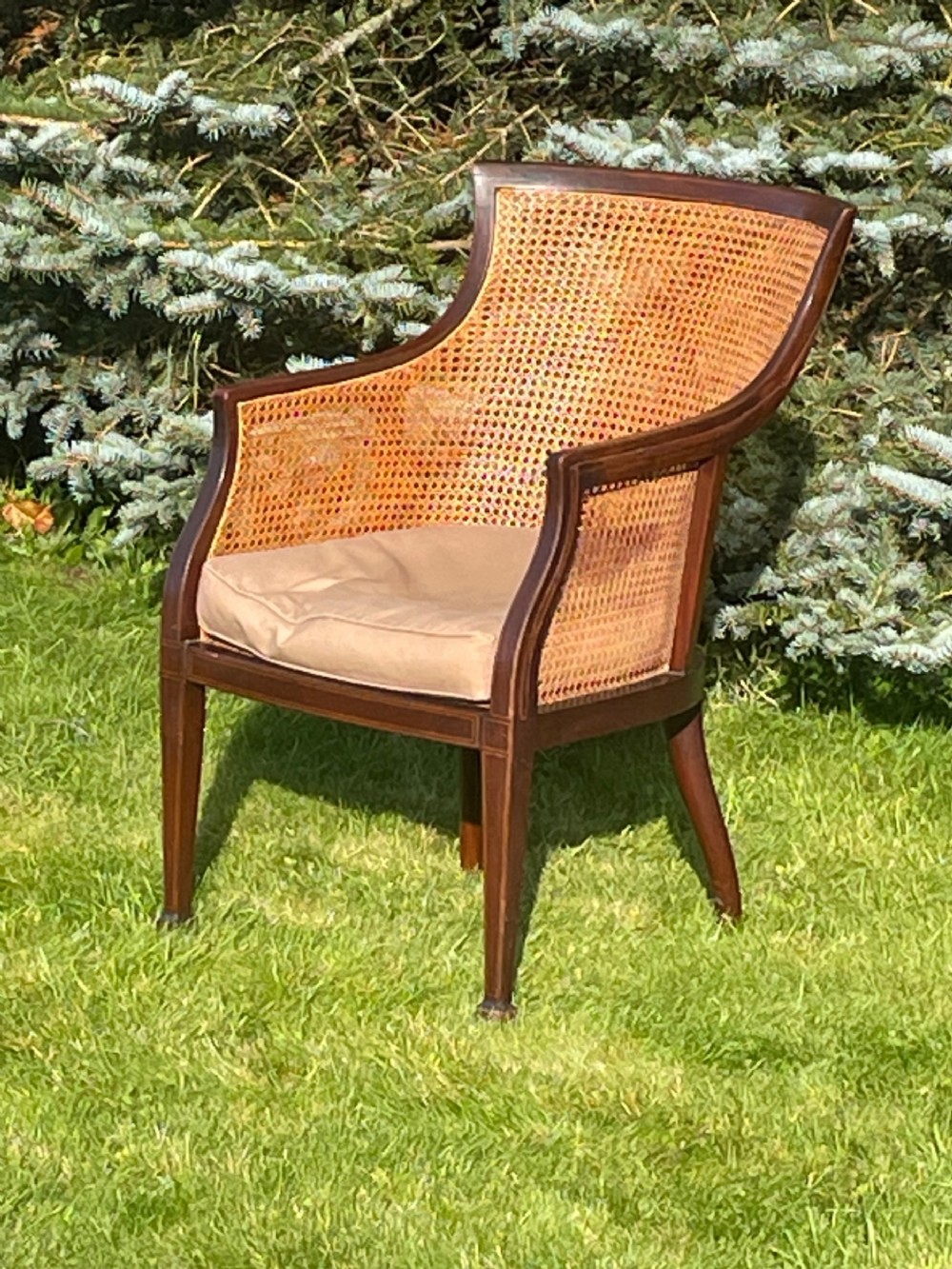 Edwardian Bergere Chair 