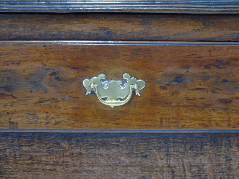 18th century Montgomeryshire Dresser View V
