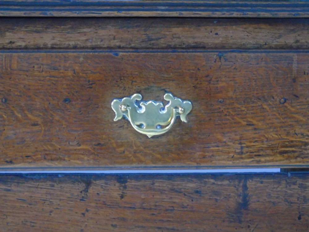 18th century Montgomeryshire Dresser View VI