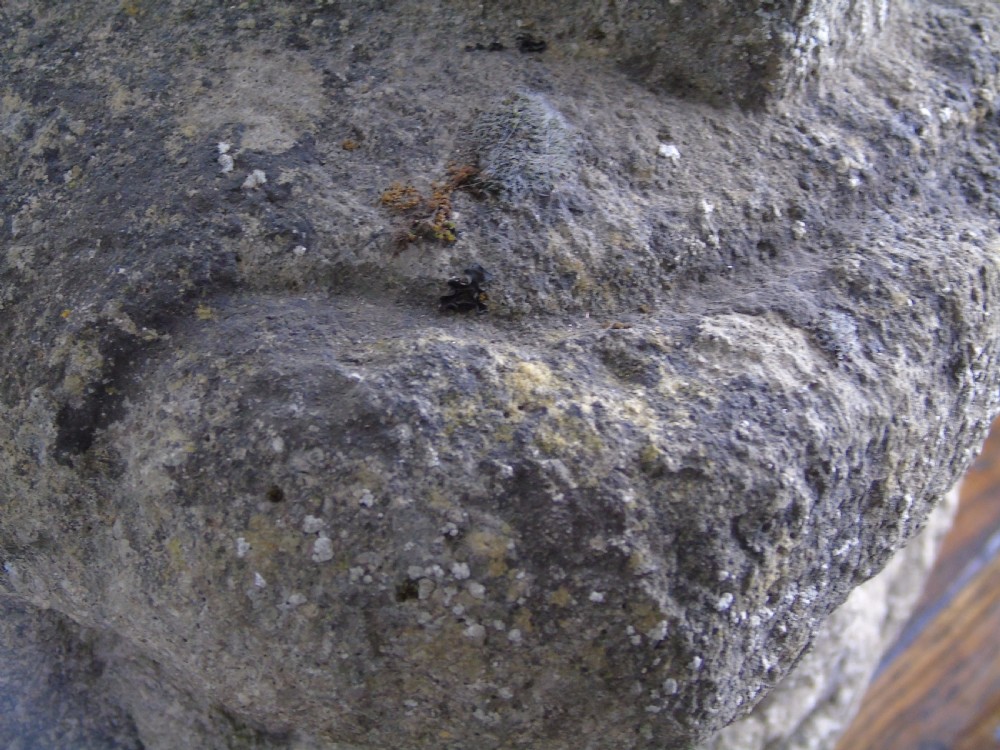Ancient carved limestone head possibly Celtic.  View IV