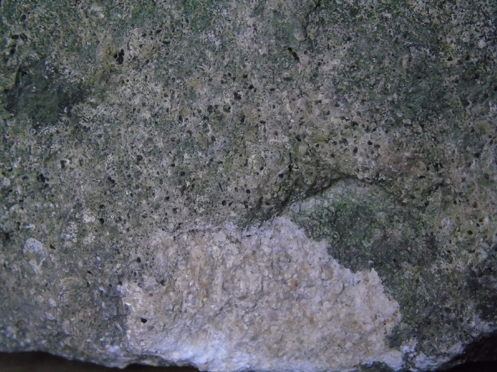 Ancient carved limestone head possibly Celtic.  View X