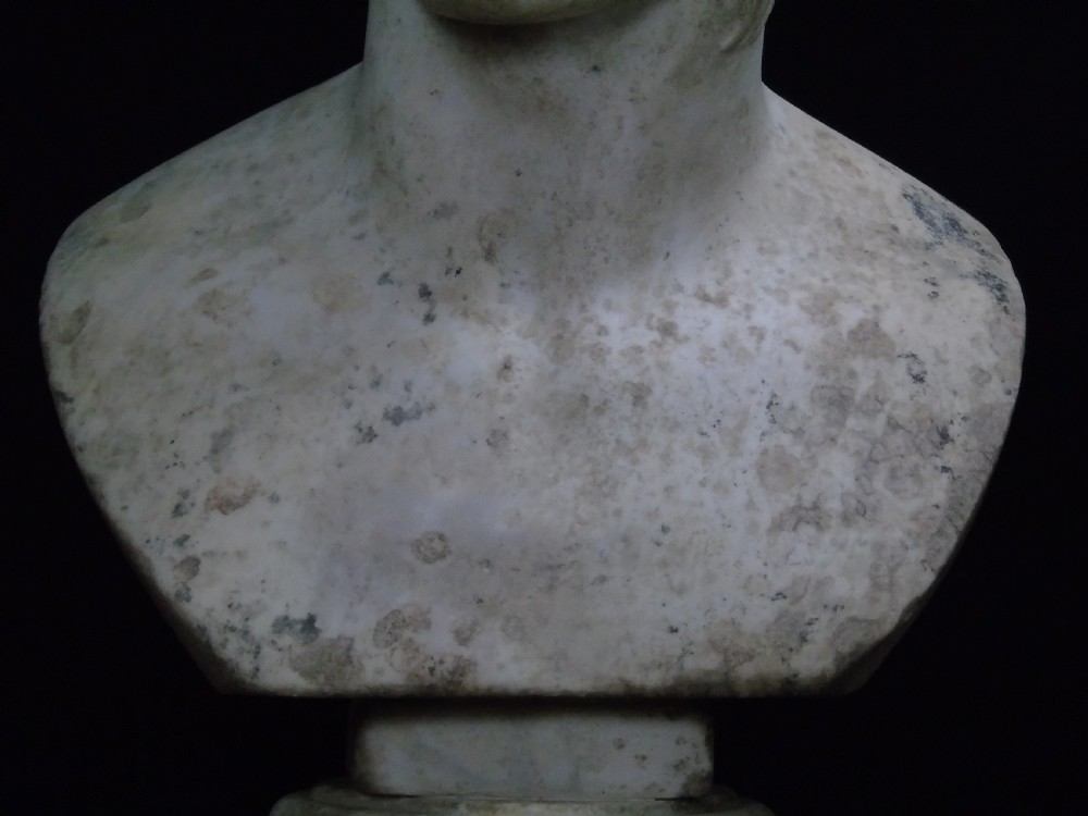 A large 18th century marble Bust of Ares View IV