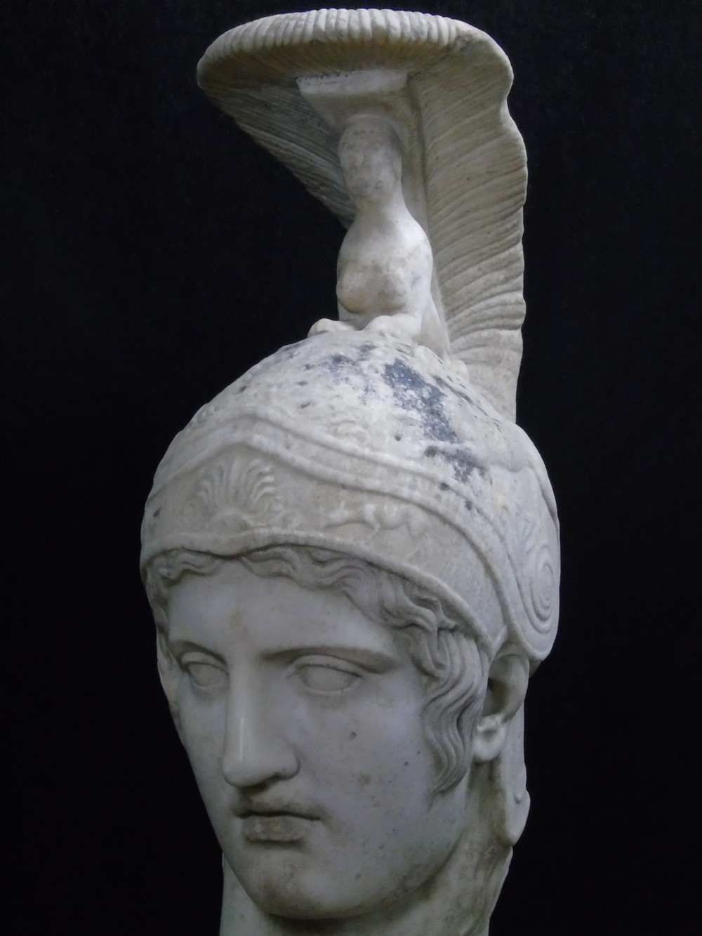 A large 18th century marble Bust of Ares View VI