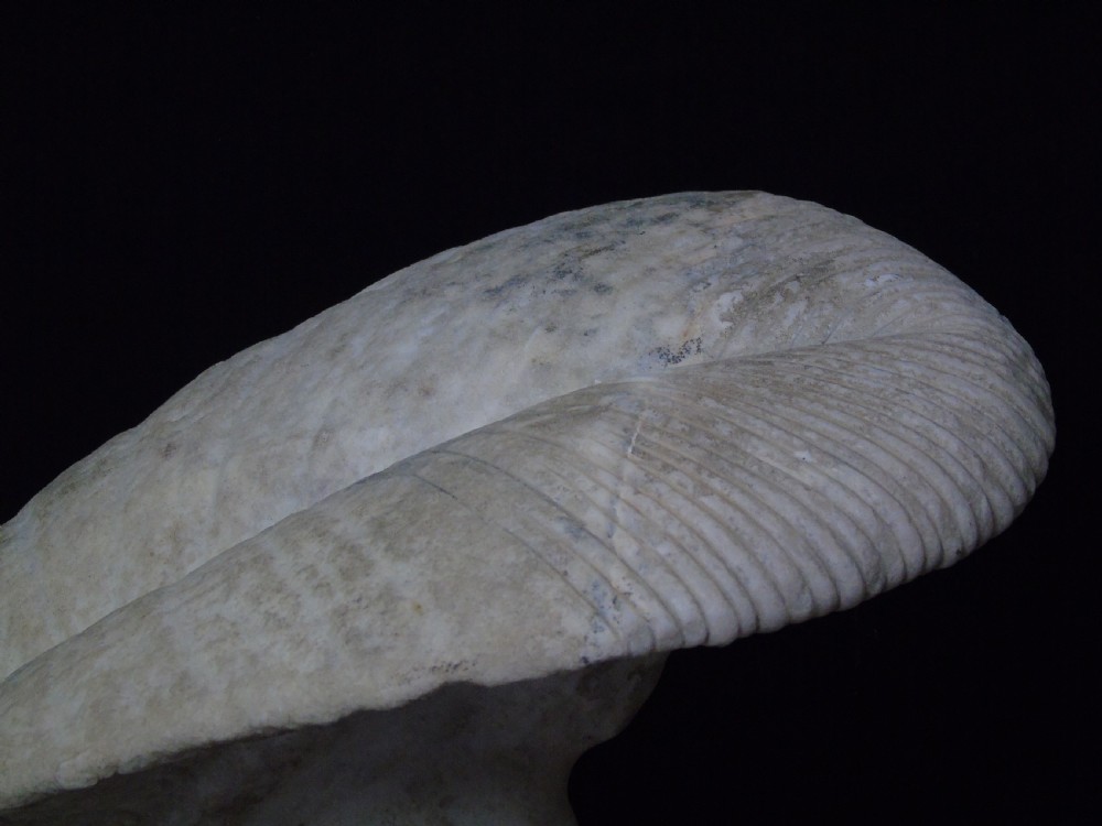 A large 18th century marble Bust of Ares View XX