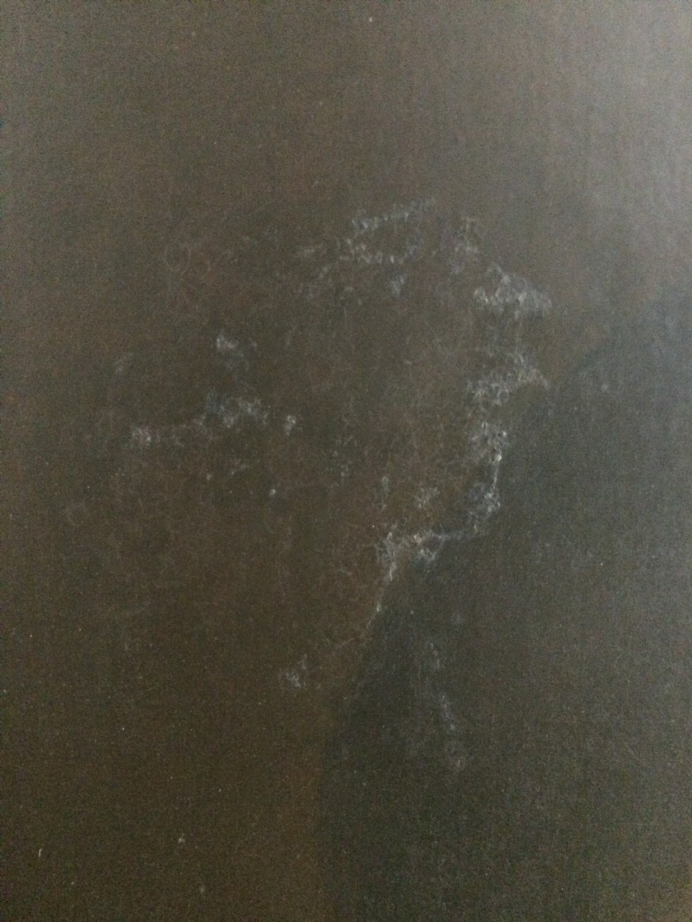 A superb portrait of King Charles 1st View XII