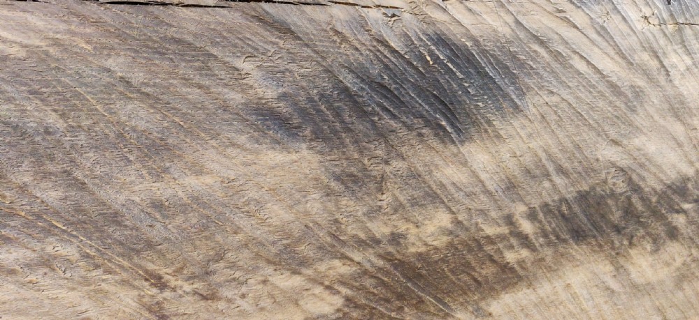 A massive 17thC style carved oak relief  View III