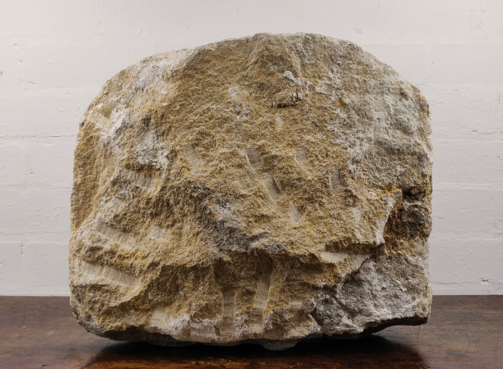 A rare celtic limestone marker. C750 -12BC View V