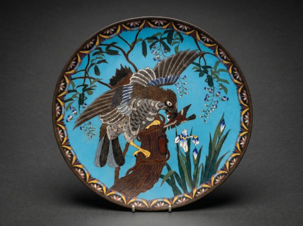 Japanese Cloisonne Enamel Charger. Sparrowhawk / Tsumi. Circa 1890.